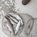 James Arthur Manning State Fish Hatchery - @146196725405257 Instagram Profile Photo