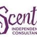 Donna Flynn-Scentsy Independent Consultant - @100067337455196 Instagram Profile Photo