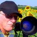 Larry G Griffith Butterflies Sunflowers & Hummingbirds Photography. - @100064906801350 Instagram Profile Photo