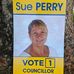 Sue Perry - @councillorsueperry Instagram Profile Photo