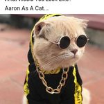 Aaron Stonelake - @aaronstonelake420gmaistonelake Instagram Profile Photo