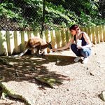 Aileen Koch - @aileen_koch Instagram Profile Photo