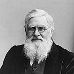 Alfred Wallace - @alfredwallace Instagram Profile Photo