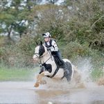Alisha Howard - @_ah_equestrian Instagram Profile Photo