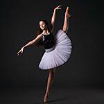 Allison Fritz - @allie.ballet Instagram Profile Photo