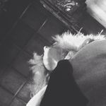 Amanda Woodward - @ainda05 Instagram Profile Photo