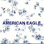 American Eagle Tyrone - @aeo00178 Instagram Profile Photo