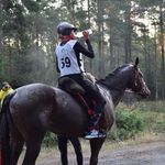 amelia_wrona_endurance_rider - @amelia_wrona_endurance_rider Instagram Profile Photo