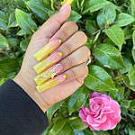Amy arellano - @amy.are.nails Instagram Profile Photo