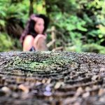 Amy Mitsuno Quijano - @amymitsu Instagram Profile Photo