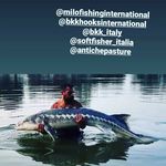 andrea lincenti - @andrea_lincenti_theangler Instagram Profile Photo