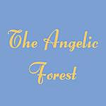 The Angelic Forest - @angelicforest Instagram Profile Photo