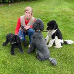 Angie Tennant - @angies_canines Instagram Profile Photo