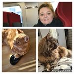 Anna Kocinski - @2cats_1baby_and_us Instagram Profile Photo