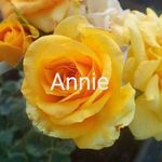 Annie Boatwright - @annie.boatwright.9 Instagram Profile Photo