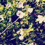 April crouch - @april.crouchxo Instagram Profile Photo