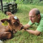 Arthur Hartman - @arthur.hartman Instagram Profile Photo