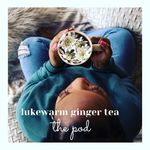 ASHLY WHITE - @lukewarmgingertea Instagram Profile Photo