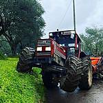 azienda Longo - @azienda_agricola.longo Instagram Profile Photo