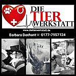 Barbara Dechant - @barbaradechant Instagram Profile Photo