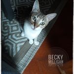Becky Milligan - @becky_milligan_influencer Instagram Profile Photo