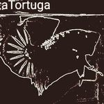 Betta Tortuga - @bettatortuga Instagram Profile Photo