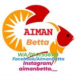 betta bidding by aiman - @bettabidding.is Instagram Profile Photo