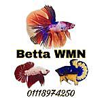 Betta WMN For Bidding - @bettawmnbid Instagram Profile Photo