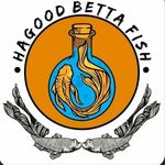 HAGOOD BETTA FISH - @hagood.id Instagram Profile Photo