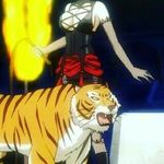 Betty the tiger - @betty.the.fire.jumper Instagram Profile Photo