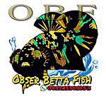 Obser_Betta_Fish - @obser_betta_fish Instagram Profile Photo
