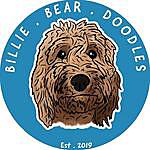 Billie bear doodles - @billiebeardoodles Instagram Profile Photo