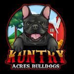 Billie Gabbard - @kuntry_acres_bulldogs Instagram Profile Photo