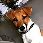 Bobby Chalmers - @bobblypop Instagram Profile Photo