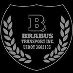 Brabus Transport-MNE Freight - @brabus_mne Instagram Profile Photo
