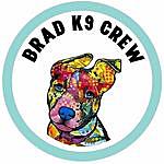 Dog training~West mids - @brad_k9_crew Instagram Profile Photo