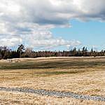 Cape Breton Family Farm - @madmacsfamilyfarm Instagram Profile Photo