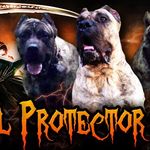 Bryan Coney - @soulprotectorkennels Instagram Profile Photo