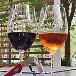 Burgundy Swine Wine Bar - @burgundys.wine Instagram Profile Photo