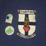 Caritas College Ballyfermot - @greenschoolscaritas Instagram Profile Photo