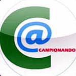 Campionando Calcio Dilettanti - @campionando Instagram Profile Photo