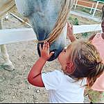 Carla_Equestrian - @carla_loveshorses Instagram Profile Photo