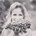 Cantine Greco_winery_Calabria - @cantine_greco Instagram Profile Photo