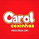 Carol Coxinhas Paulinia - @carol_coxinhas_paulinia Instagram Profile Photo