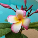 Carol Donahue - @carol.donahue.7123 Instagram Profile Photo