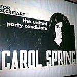 Carol Spring - @carolvspring Instagram Profile Photo
