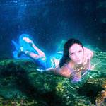Carola The Little Mermaid - @carola_the_little_mermaid Instagram Profile Photo