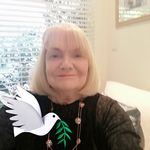 Carolyn Cahill - @cahill.carolyn Instagram Profile Photo