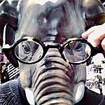 carroll atlee hardin - @beulah.the.elephant Instagram Profile Photo