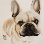 cathy webster - @cathywebster_petportrait Instagram Profile Photo
